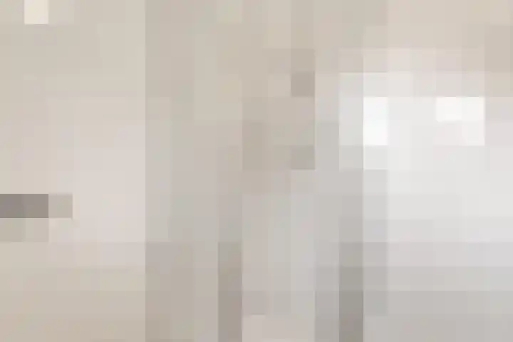Lodewijk Napoleonlaan 31 Eindhoven thumbnail 33