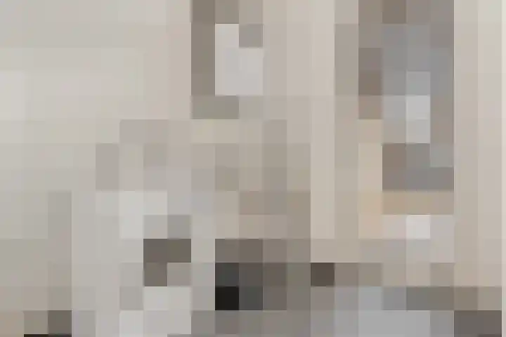 Lodewijk Napoleonlaan 31 Eindhoven thumbnail 37