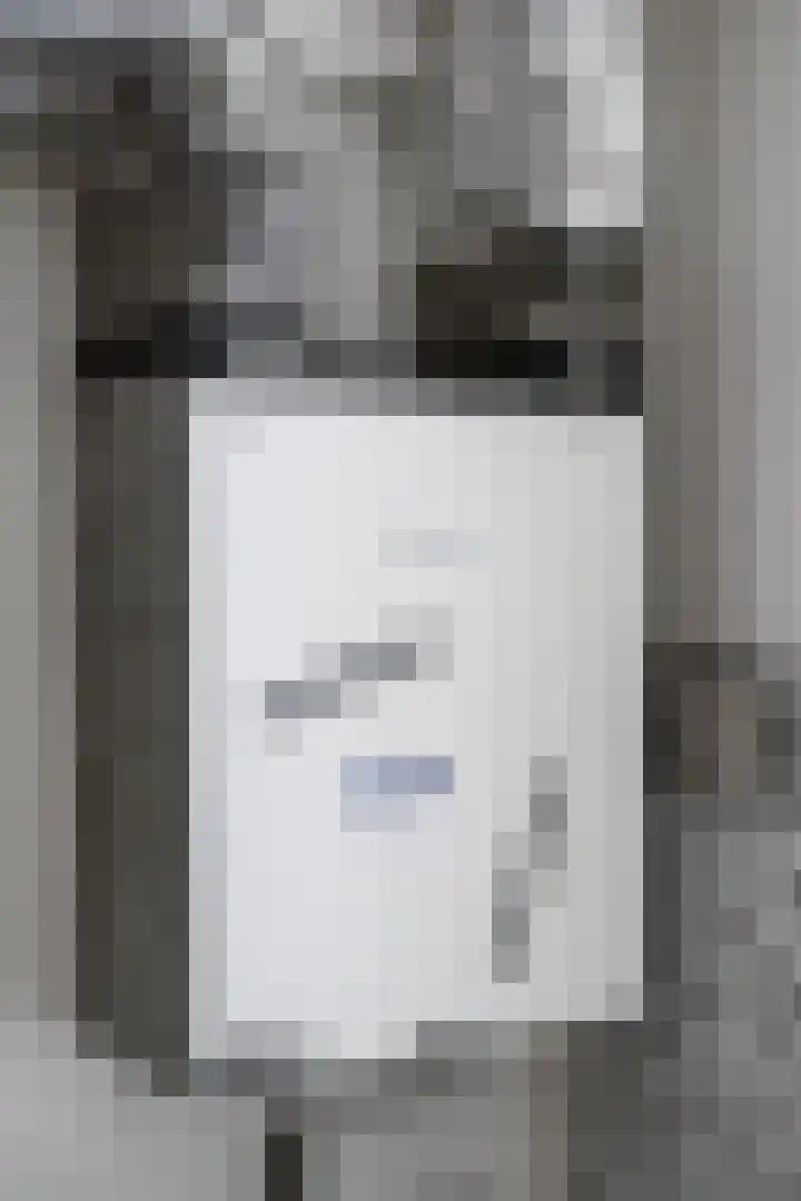 Lodewijk Napoleonlaan 31 Eindhoven thumbnail 38