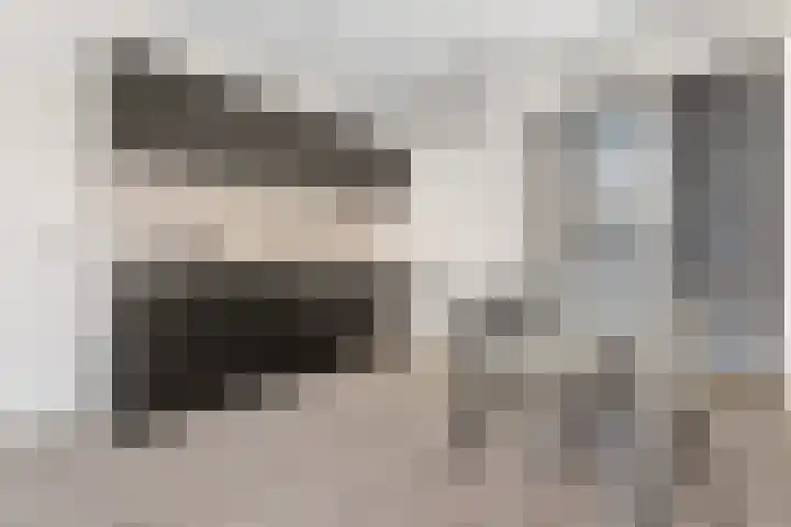 Lodewijk Napoleonlaan 31 Eindhoven thumbnail 4