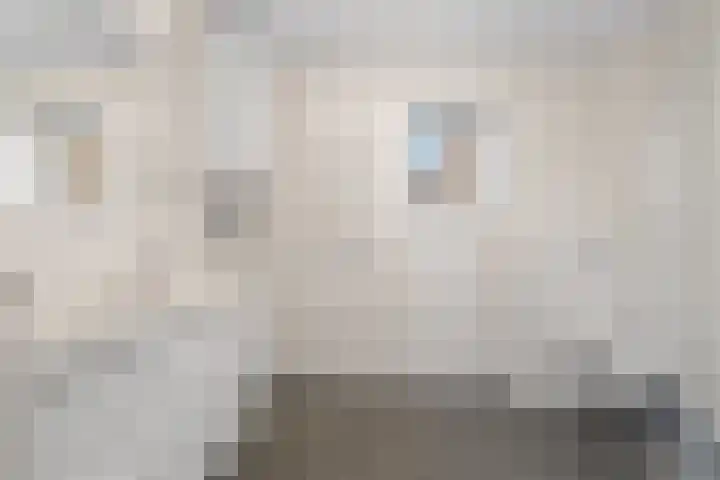 Lodewijk Napoleonlaan 31 Eindhoven thumbnail 5