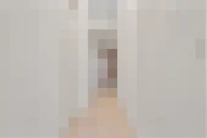Lodewijk Napoleonlaan 31 Eindhoven thumbnail 9