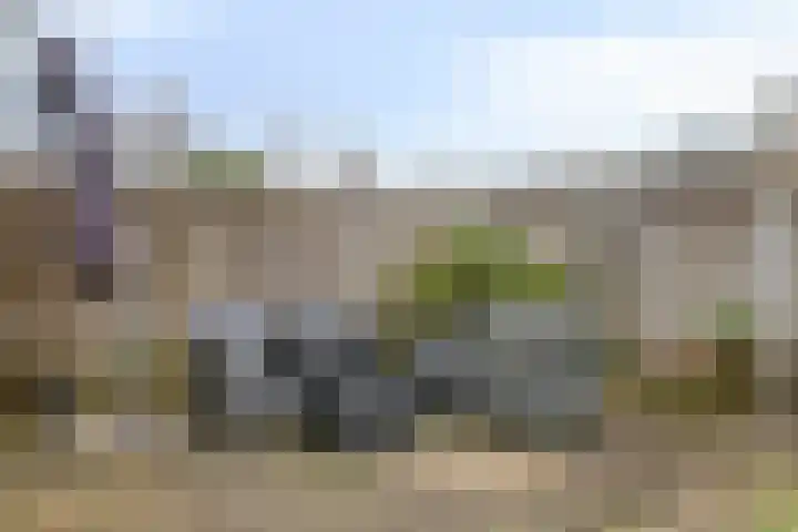 Lodewijk Napoleonlaan 89 Oosterhout thumbnail 10