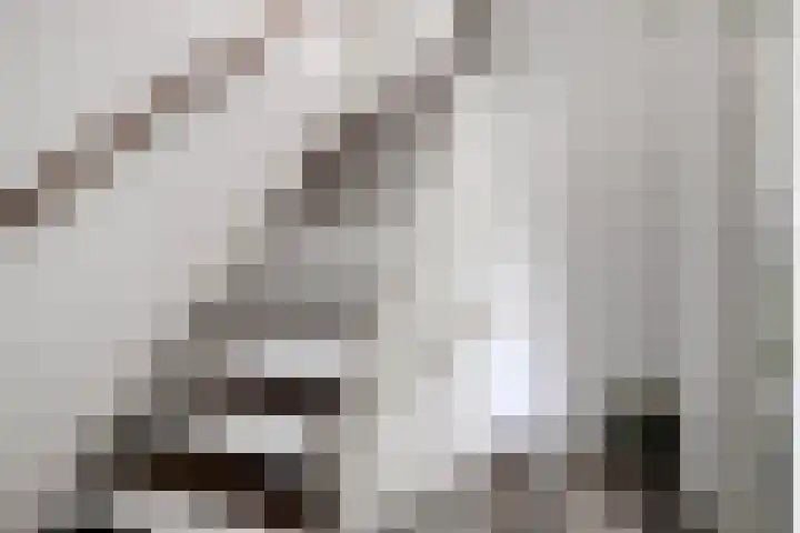 Lodewijk Napoleonlaan 89 Oosterhout thumbnail 11