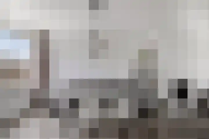Lodewijk Napoleonlaan 89 Oosterhout thumbnail 13
