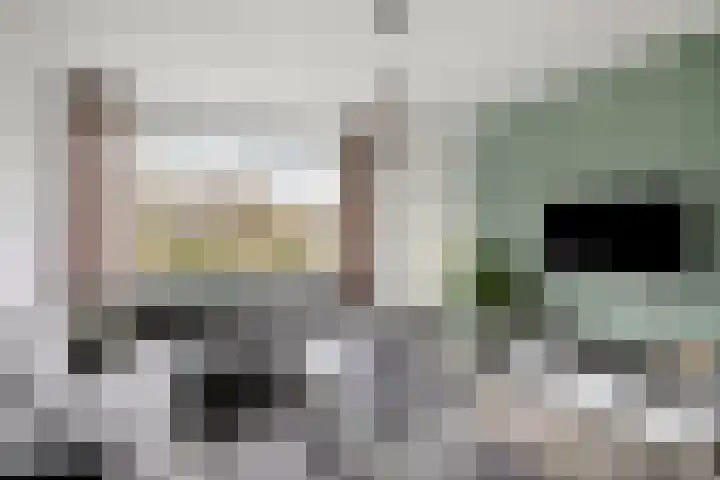 Lodewijk Napoleonlaan 89 Oosterhout thumbnail 14