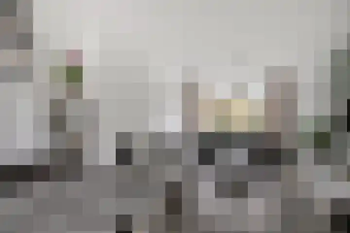 Lodewijk Napoleonlaan 89 Oosterhout thumbnail 15