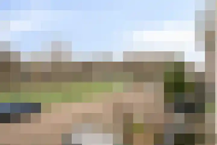 Lodewijk Napoleonlaan 89 Oosterhout thumbnail 18