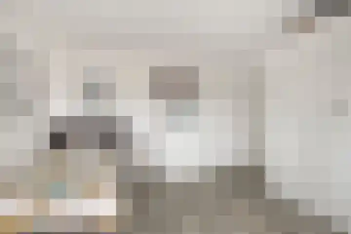 Lodewijk Napoleonlaan 89 Oosterhout thumbnail 20