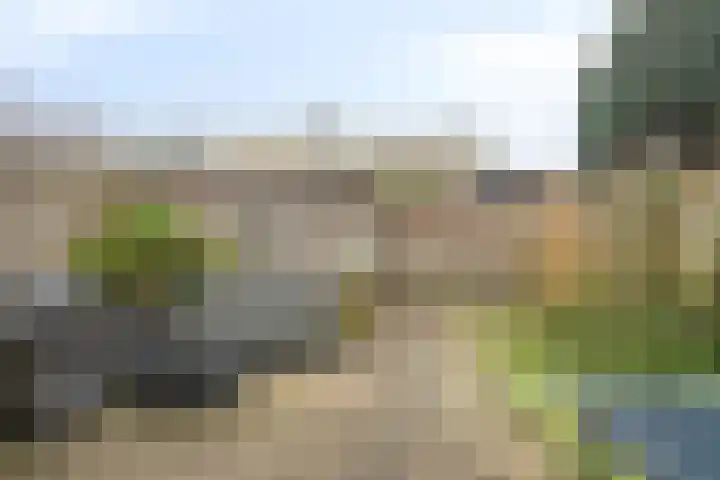 Lodewijk Napoleonlaan 89 Oosterhout foto 3