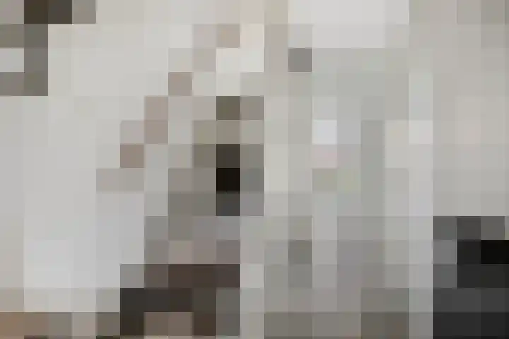 Lodewijk Napoleonlaan 89 Oosterhout thumbnail 5