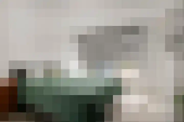 Lodewijk Napoleonlaan 89 Oosterhout thumbnail 6