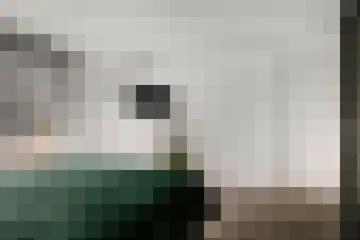Lodewijk Napoleonlaan 89 Oosterhout thumbnail 7