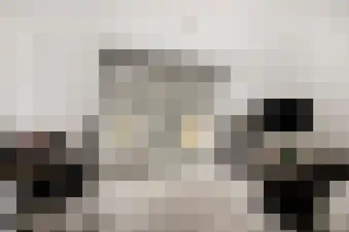 Lodewijk Napoleonlaan 89 Oosterhout thumbnail 8