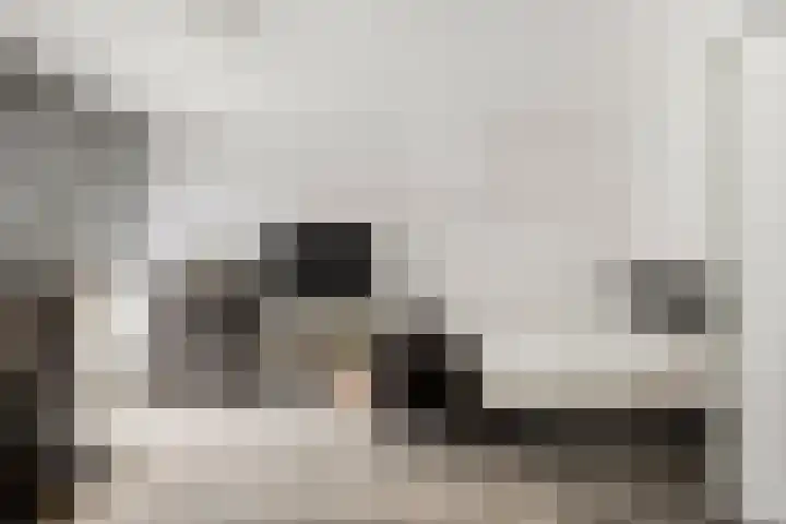 Lodewijk Napoleonlaan 89 Oosterhout thumbnail 9