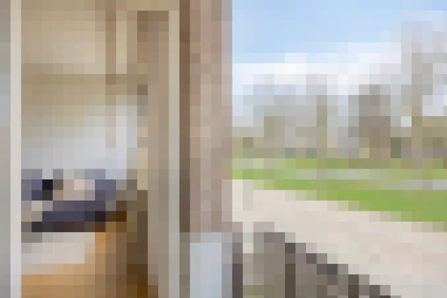 Lodewijk Napoleonlaan 93 Oosterhout thumbnail 21