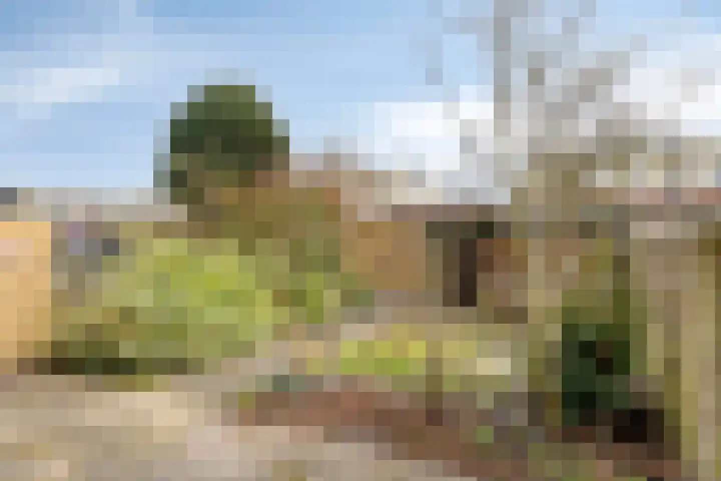 Lodewijk Napoleonlaan 93 Oosterhout thumbnail 5