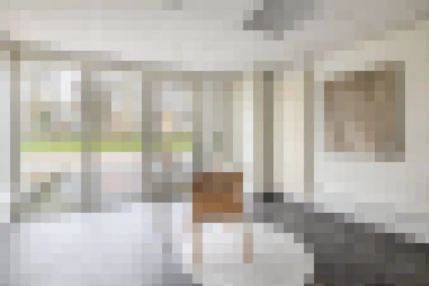 Lodewijk Napoleonlaan 99 Oosterhout thumbnail 10