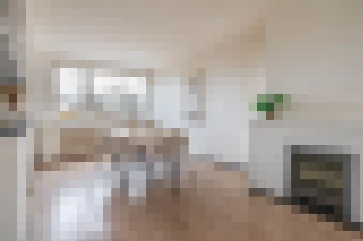 Lodewijk Napoleonlaan 99 Oosterhout thumbnail 16