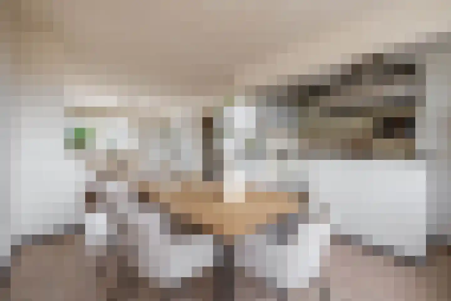Lodewijk Napoleonlaan 99 Oosterhout thumbnail 17