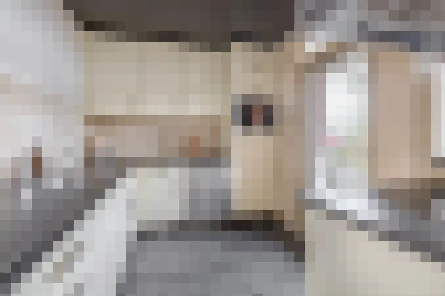 Lodewijk Napoleonlaan 99 Oosterhout thumbnail 18