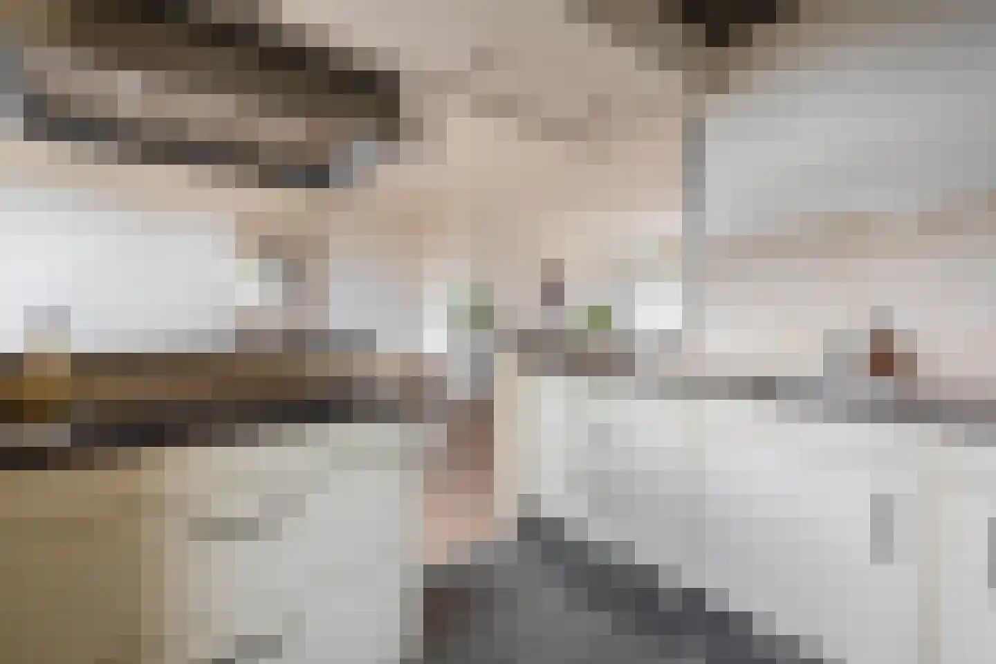 Lodewijk Napoleonlaan 99 Oosterhout thumbnail 20