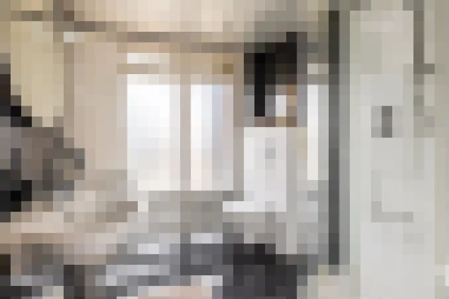 Lodewijk Napoleonlaan 99 Oosterhout thumbnail 27