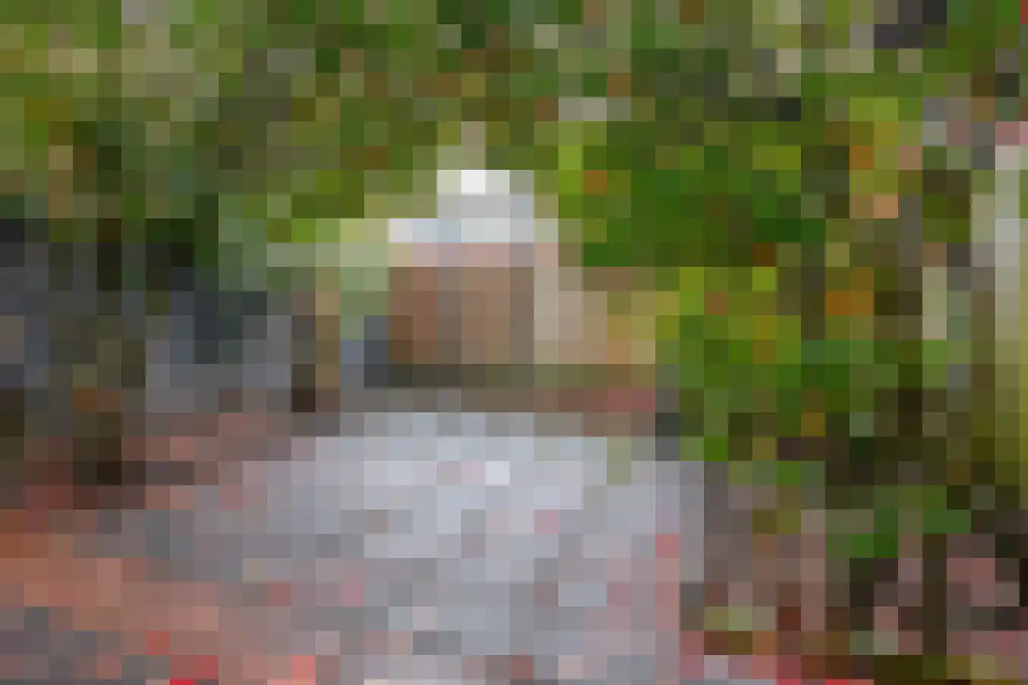 Lodewijk Napoleonlaan 99 Oosterhout thumbnail 31