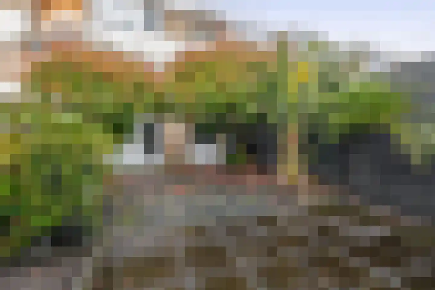 Lodewijk Napoleonlaan 99 Oosterhout thumbnail 32