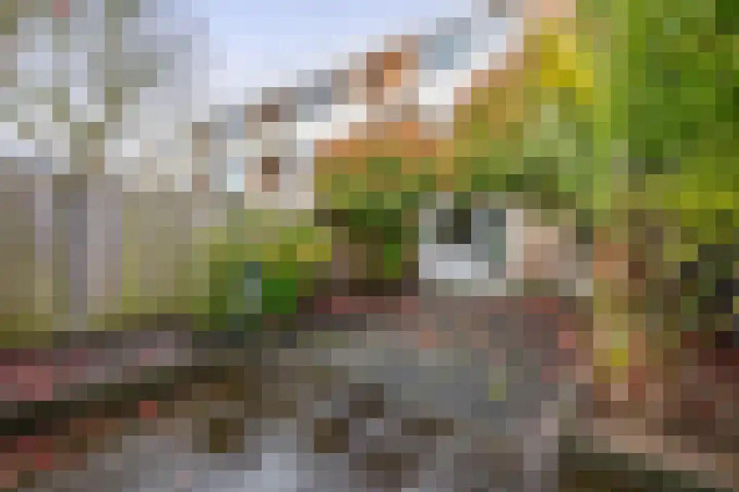 Lodewijk Napoleonlaan 99 Oosterhout thumbnail 33
