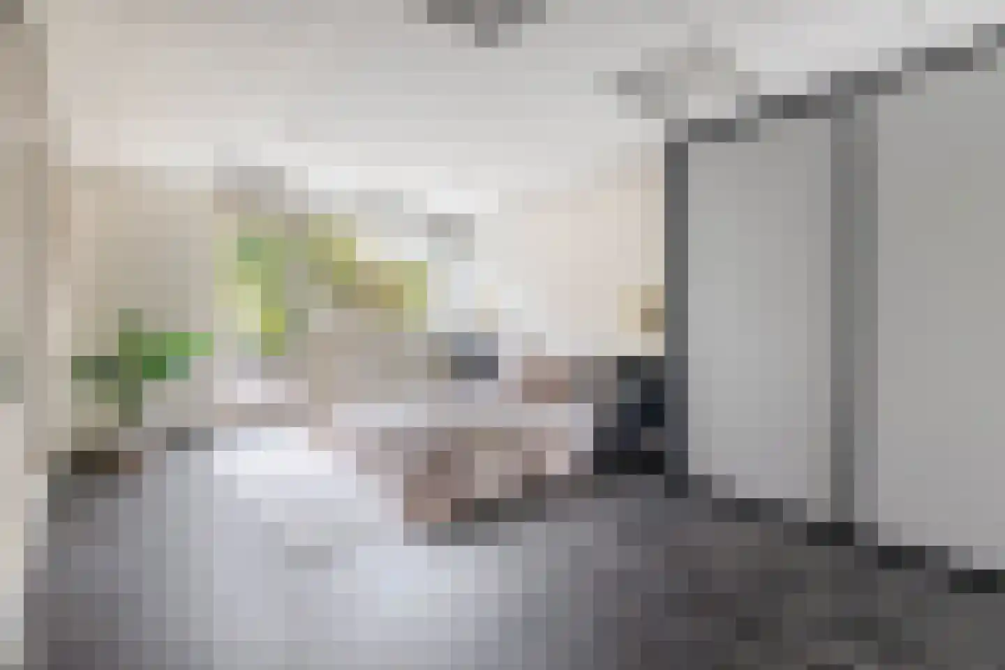 Lodewijk Napoleonlaan 99 Oosterhout thumbnail 4