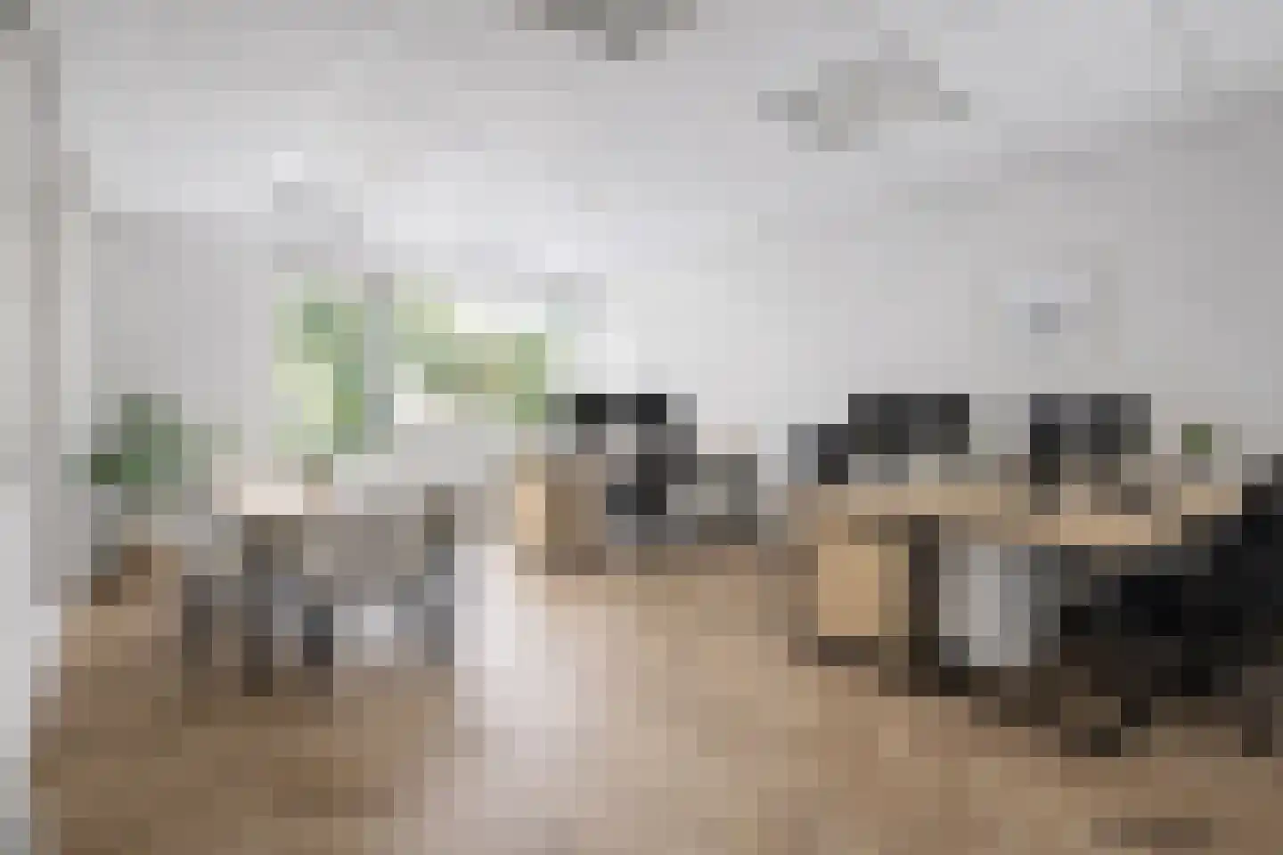 Lodewijk Napoleonlaan 99 Oosterhout thumbnail 6