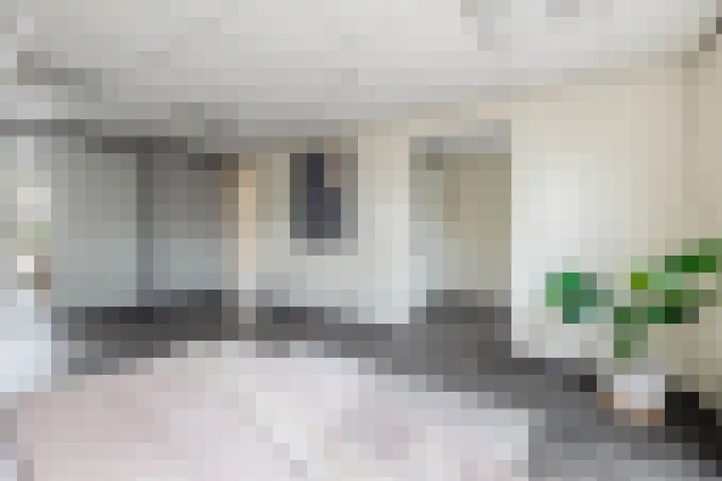 Lodewijk Napoleonlaan 99 Oosterhout thumbnail 7