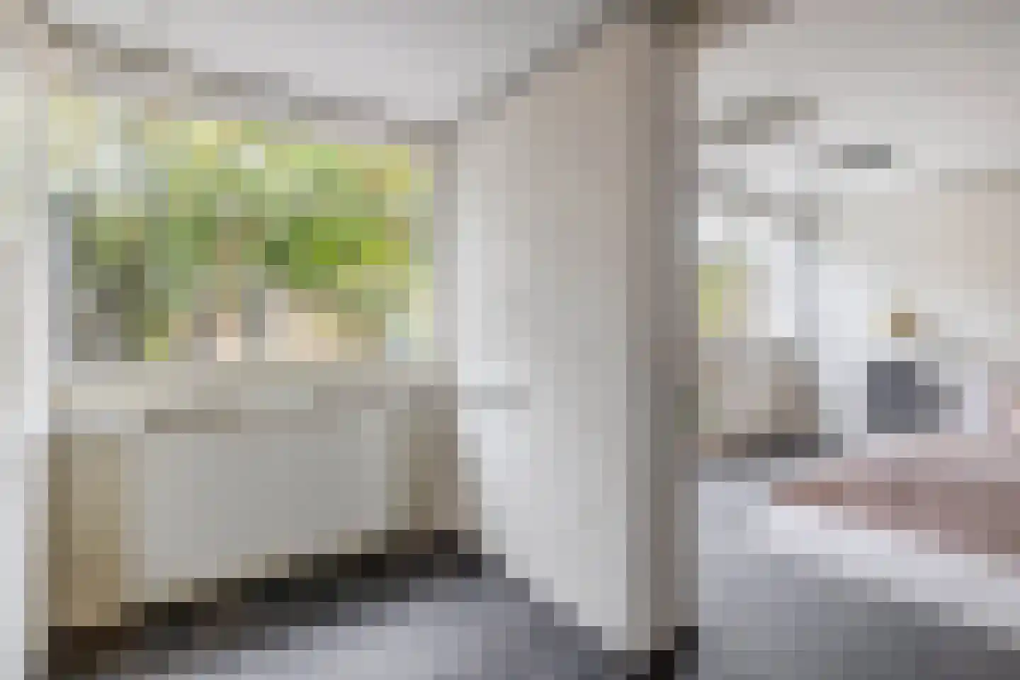 Lodewijk Napoleonlaan 99 Oosterhout thumbnail 8