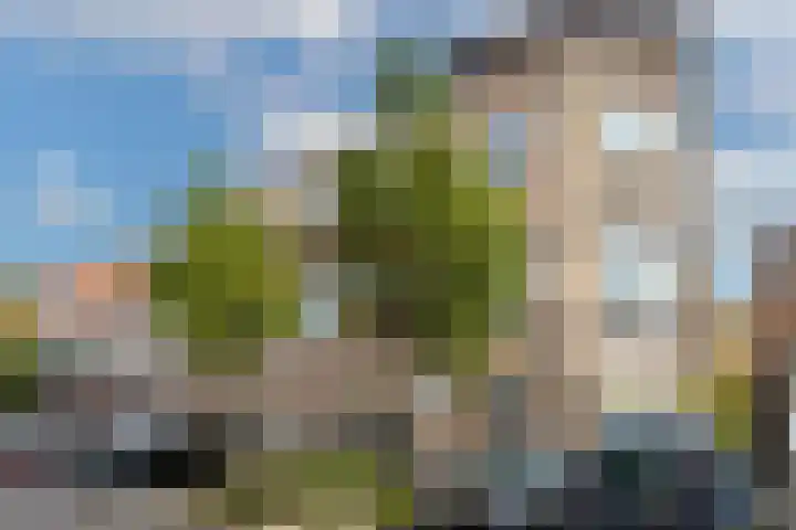 Lodewijk Napoleonplein 21 Eindhoven thumbnail 7