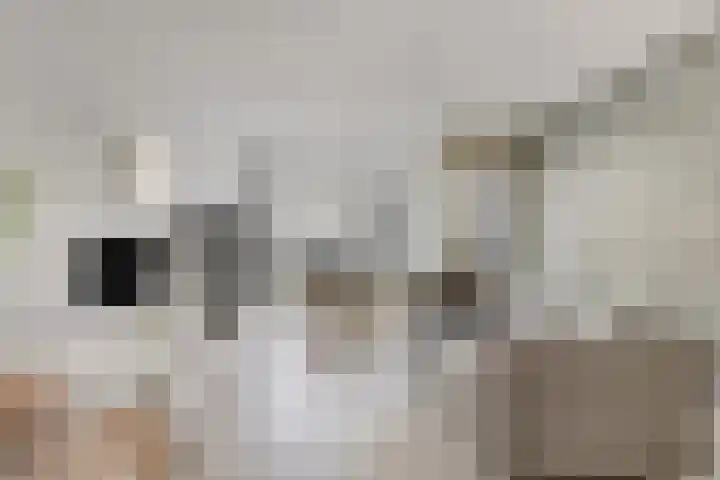 Lodewijk Napoleonplein 23 Eindhoven thumbnail 13