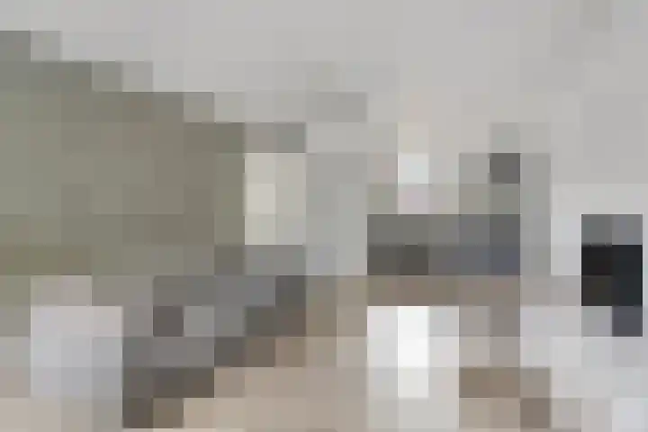 Lodewijk Napoleonplein 23 Eindhoven thumbnail 14