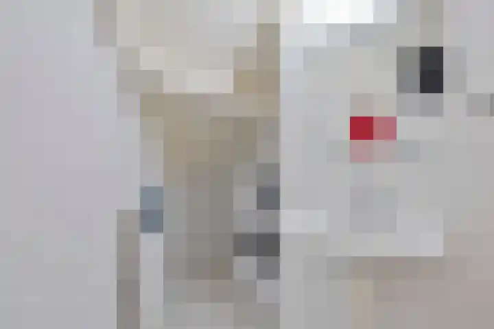Lodewijk Napoleonplein 30 Eindhoven thumbnail 17