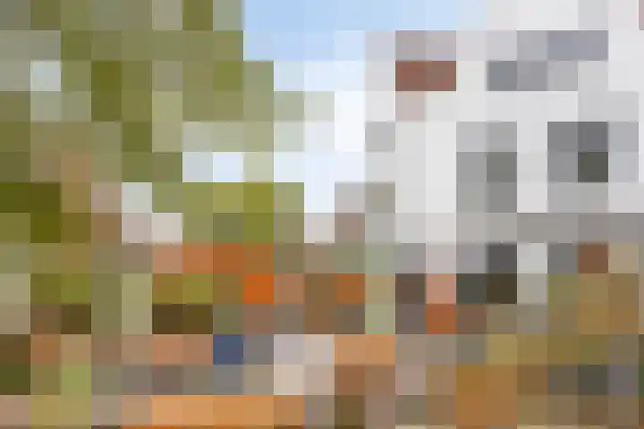 Lodewijk Napoleonplein 30 Eindhoven thumbnail 29