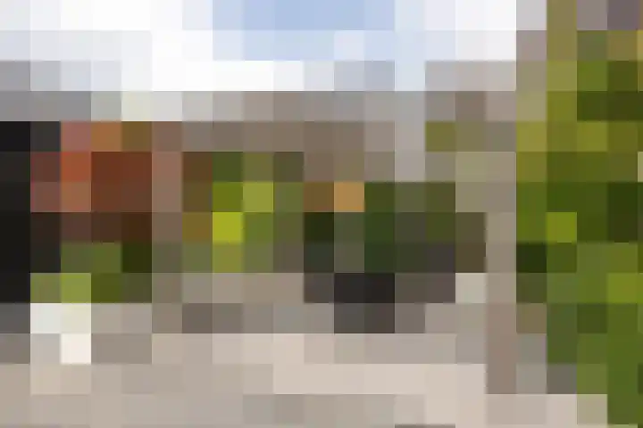 Lodewijk Napoleonstraat 9 Leiden thumbnail 36