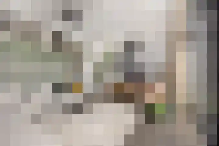 Lodewijk Napoleonstraat 9 Leiden thumbnail 5