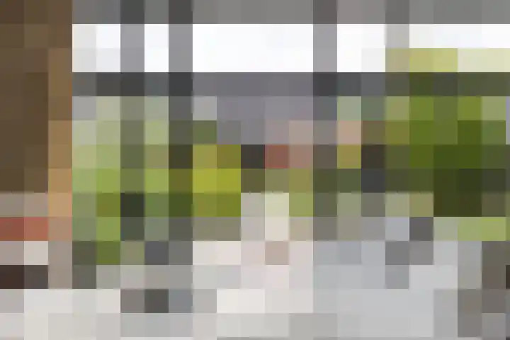 Lodewijk Napoleonstraat 9 Leiden thumbnail 8