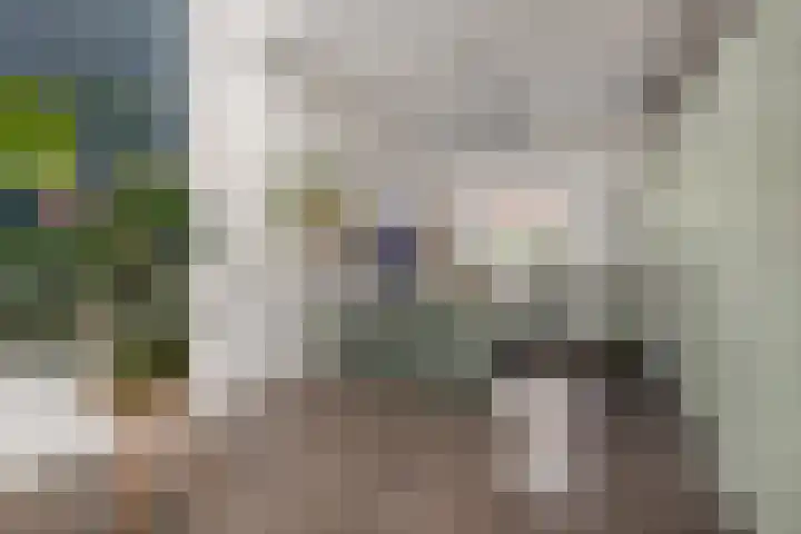Lodewijk Napoleonstraat 9 Leiden thumbnail 9