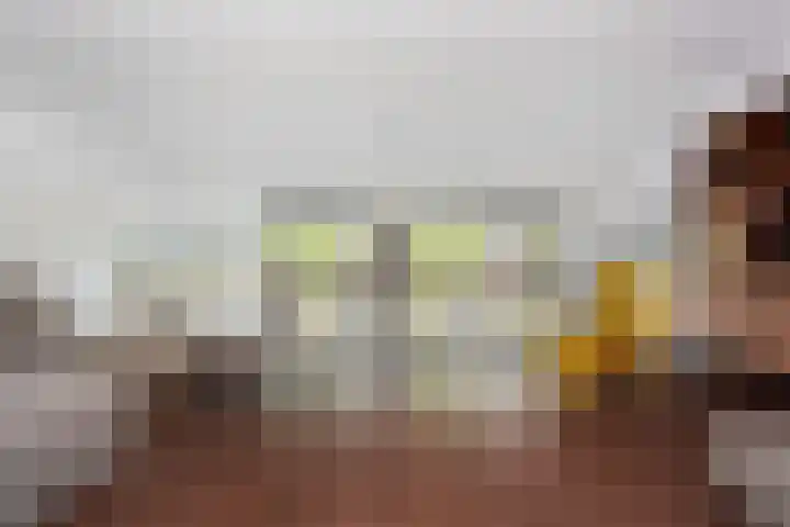 Lodewijk Pincoffsweg 384 Rotterdam thumbnail 5