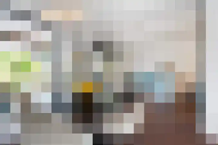 Lodewijk Pincoffsweg 384 Rotterdam thumbnail 8