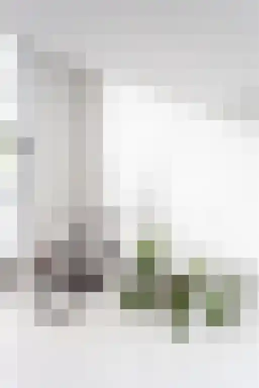 Lodewijk Pincoffsweg 390 Rotterdam thumbnail 33