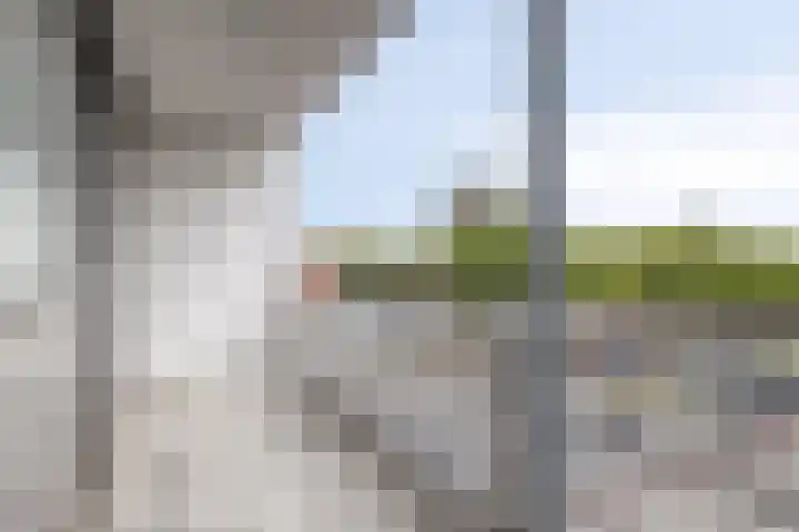 Lodewijk Pincoffsweg 43 Rotterdam thumbnail 15