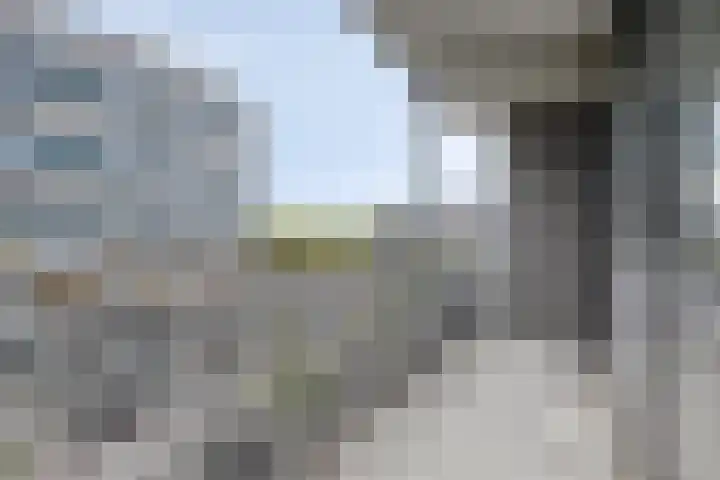 Lodewijk Pincoffsweg 43 Rotterdam thumbnail 16