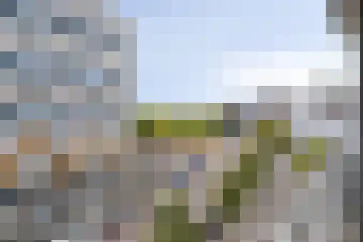 Lodewijk Pincoffsweg 43 Rotterdam thumbnail 18