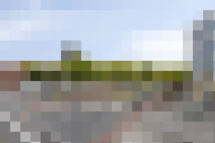 Lodewijk Pincoffsweg 43 Rotterdam thumbnail 19